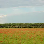 Appartamenti Mirella